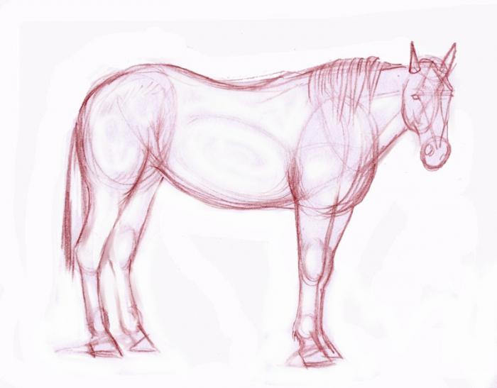 Hoe een paard in potlood te tekenen