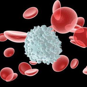 Wat vertellen verhoogde lymfocyten aan kinderen?
